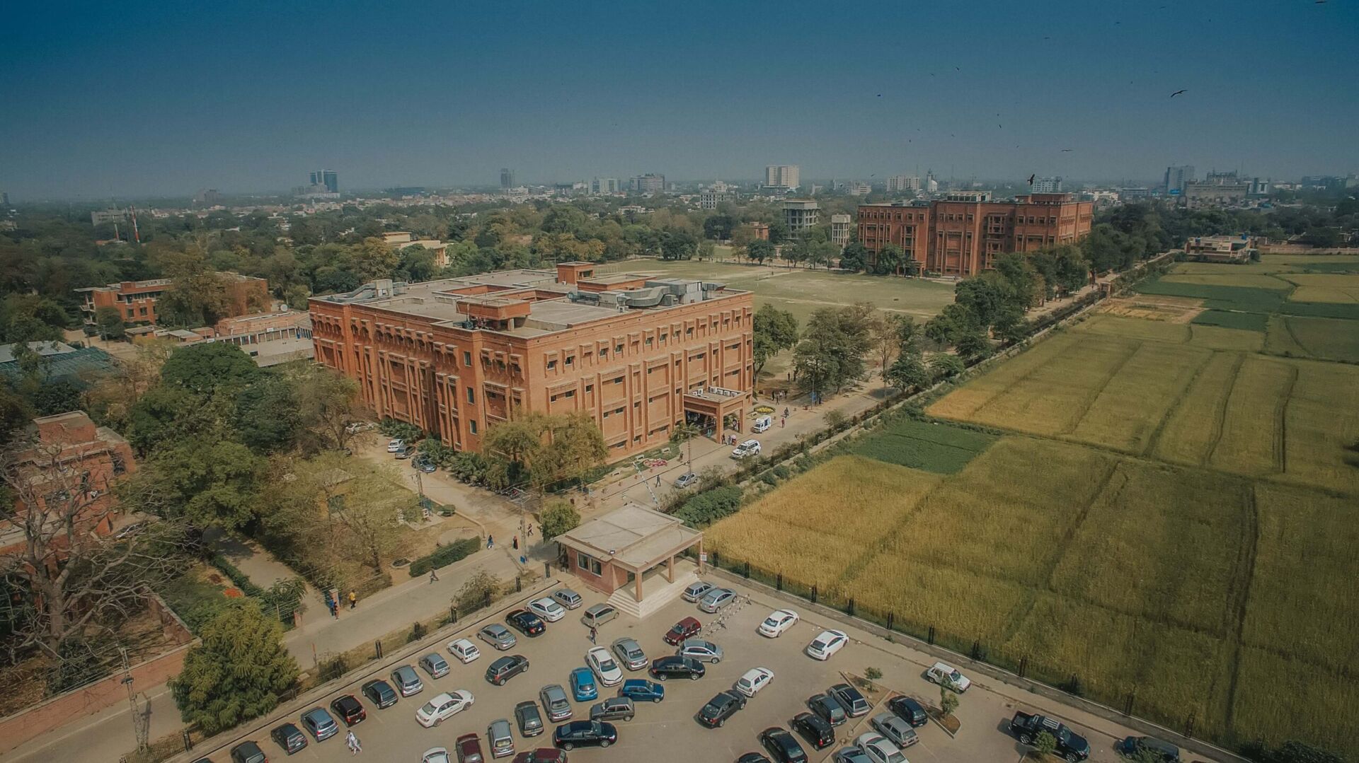 FC College