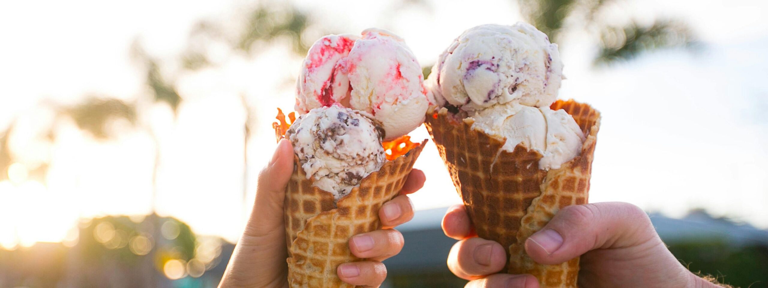 Kid-Friendly Ice Cream Places in Westland
