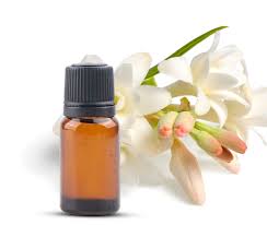 absolute oil suppliers in India