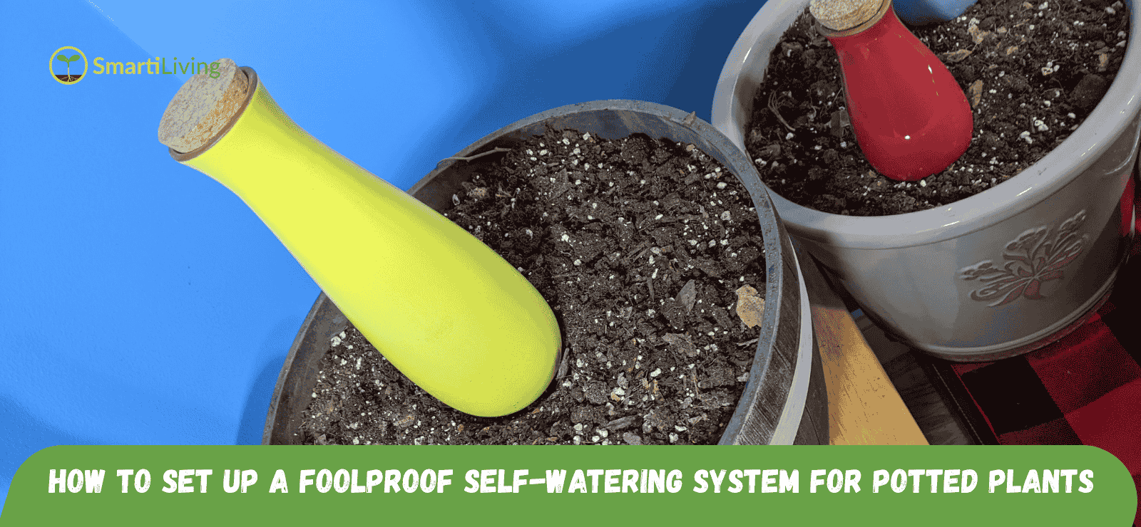 How to Install Ollas for a Perfect Garden: A Step-by-Step Guide Smartiliving