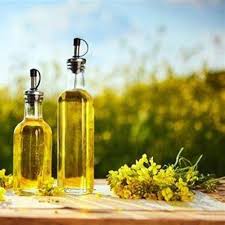 canola oil in bulk