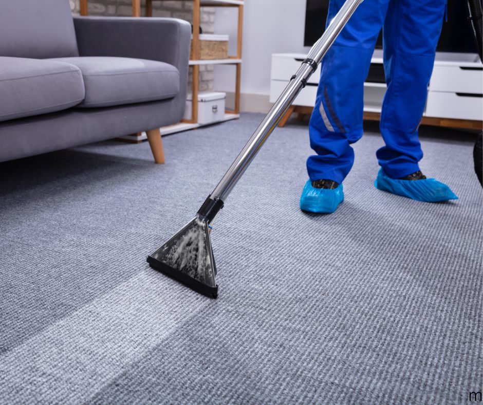 Professional Carpet Cleaning