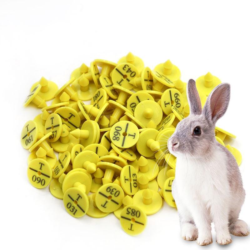 Identification-pour-lapin